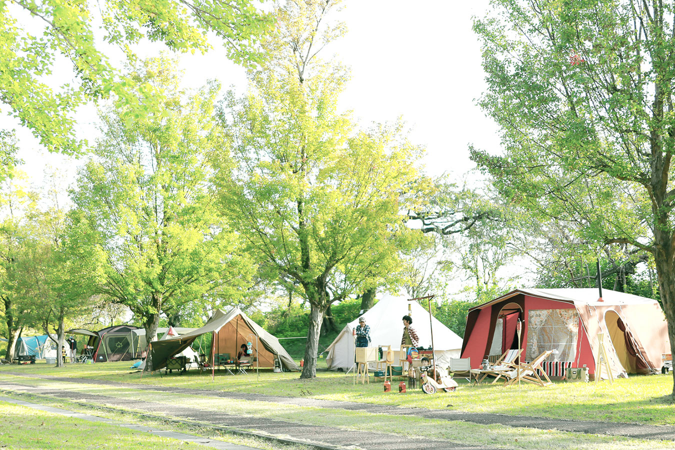 campicnic-1